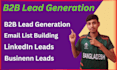 data entry, b2b lead generation, email list building