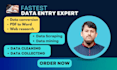 do fastest data entry, data conversion, data mining and cleaning