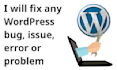 fix any wordpress error or problem