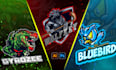 design cartoon sports mascot league logo for your team n club
