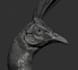 model realistic bird by using zbrush and houdini