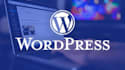resolve technical errors in wordpress website