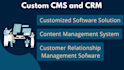 make custom cms and CRM softwares