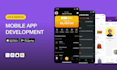 develop hybrid mobile application IOS and android