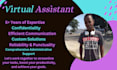 perfect virtual assistance pro data entry