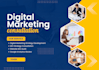 provide professional digital marketing consultation
