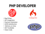 fix core php issues and web development
