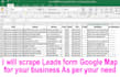 provide google maps data scraping service for business information
