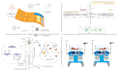 make scientific illustrations, figures, diagrams and patent drawings