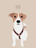 design a minimalist portrait illustration