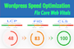 fix cls, lcp, core web vitals issues or speed up wordpress for google page speed