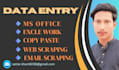be your data entry expert