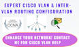 cisco vlan and inter vlan routing configuration, packet tracer lab help