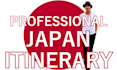 create the best itinerary for you trip to japan as a professional travel planner