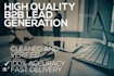 provide professional targeted lead generation and cold email outreach services