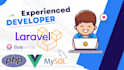 develop PHP laravel, vue js web apps, rest apis, and fix bugs