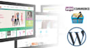 design and setup  woocommerce stores