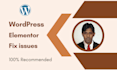fix elementor or wordpress issues