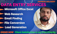 do data entry, web research, data mining and data collection