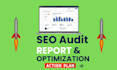 do seo audit, with action plan and technical analysis