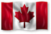 top seo services in canada