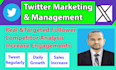 do twitter marketing and get targeted active followers
