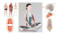 draw realistic medical, exercise, and meridian illustrations