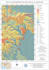 map your data with qgis, in vector or raster format