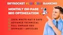 do monthly SEO on page technical optimization and off page services