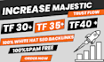 increase majestic trust flow up to 40 plus