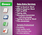do professional data entry,PDF conversion, excel sheet