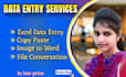 do accurate data entry in low price