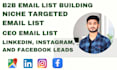 scrape CEO email list, niche targeted emails, and lead scraping