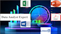 data analyst professional work