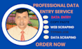 do web research, data collection, ecommerce, typing job