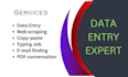 complete data entry, typing work quickly
