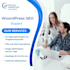 do a professional website on page SEO optimization