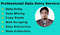 do web scraping, data mining, copy paste