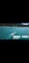 edit youtube short video in cap cut