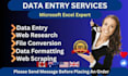 do professional excel data entry, copy paste, typing job in low price