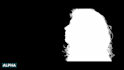 do professional rotoscoping using silhouettefx