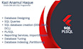 provide expert oracle dba and  plsql programming services