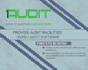 provide audit services on 1audit software