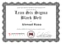 do lean six sigma and industrial engineering projects
