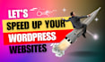 do wordpress website speed optimization or improve website loading time