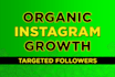 do super fast organic instagram growth to increase followers