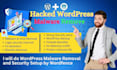 do wordpress malware removal and security setup by wordfence