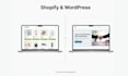 build a custom shopify store or wordpress website with advanced functionality