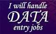 handle data entry, copy and paste, and excel data entry