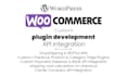 wordpress plugin and woocommerce API developer